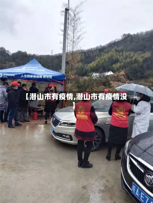 【潜山市有疫情,潜山市有疫情没】-第2张图片