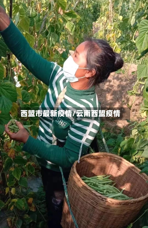 西盟市最新疫情/云南西盟疫情-第2张图片
