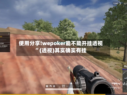 使用分享!wepoker能不能开挂透视”(透视)其实确实有挂-第2张图片