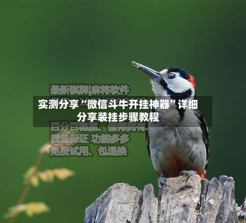 实测分享“微信斗牛开挂神器	”详细分享装挂步骤教程-第2张图片