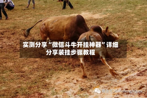 实测分享“微信斗牛开挂神器”详细分享装挂步骤教程-第1张图片
