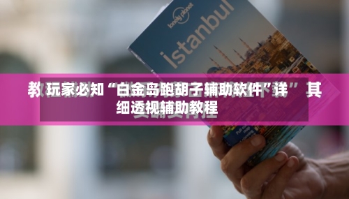 玩家必知“白金岛跑胡子辅助软件”详细透视辅助教程-第1张图片