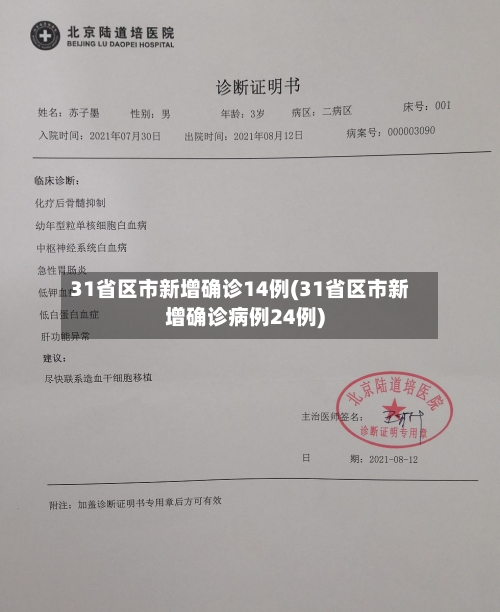 31省区市新增确诊14例(31省区市新增确诊病例24例)-第2张图片