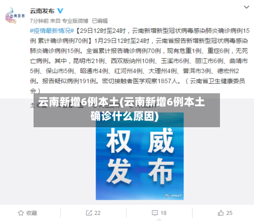 云南新增6例本土(云南新增6例本土确诊什么原因)-第1张图片