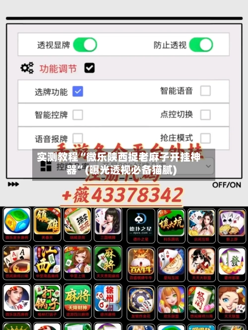 实测教程“微乐陕西捉老麻子开挂神器”(曝光透视必备猫腻)-第2张图片