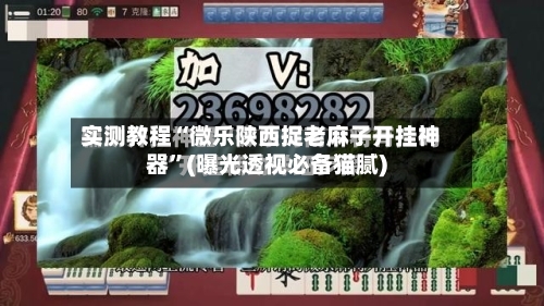 实测教程“微乐陕西捉老麻子开挂神器	”(曝光透视必备猫腻)-第1张图片