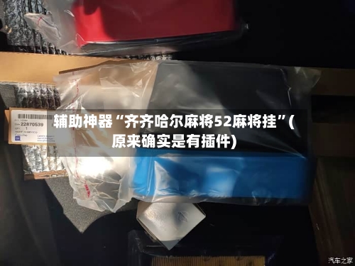 辅助神器“齐齐哈尔麻将52麻将挂”(原来确实是有插件)-第1张图片