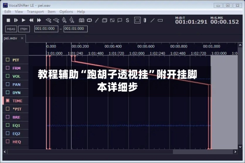 教程辅助“跑胡子透视挂”附开挂脚本详细步-第1张图片