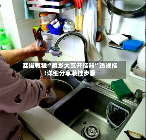 实操教程“家乡大贰开挂器”透视挂!详细分享装挂步骤-第1张图片