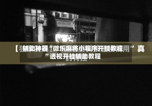 辅助神器“微乐麻将小程序开挂教程”透视开挂辅助教程-第1张图片