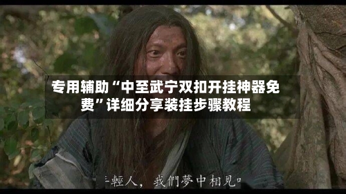 专用辅助“中至武宁双扣开挂神器免费”详细分享装挂步骤教程-第3张图片