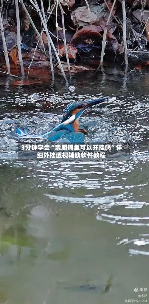 3分钟学会“亲朋捕鱼可以开挂吗	”详细外挂透视辅助软件教程-第1张图片