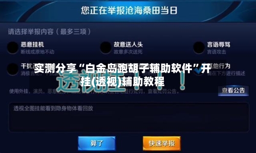 实测分享“白金岛跑胡子辅助软件”开挂(透视)辅助教程-第1张图片