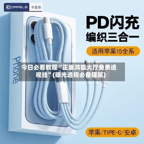 今日必看教程“正版鸿狐大厅免费透视挂”(曝光透视必备猫腻)-第2张图片
