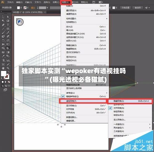 独家脚本实测“wepoker有透视挂吗”(曝光透视必备猫腻)-第3张图片