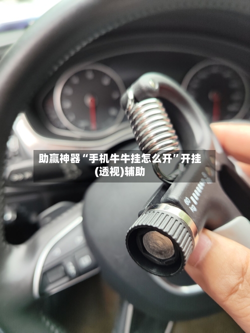 助赢神器“手机牛牛挂怎么开	”开挂(透视)辅助-第2张图片