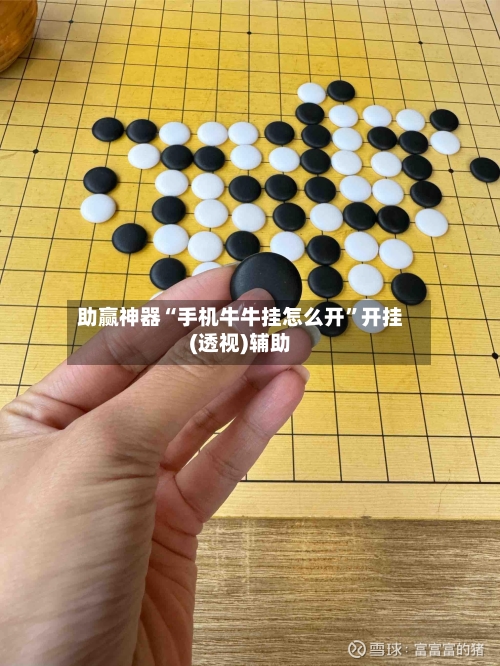助赢神器“手机牛牛挂怎么开”开挂(透视)辅助-第1张图片