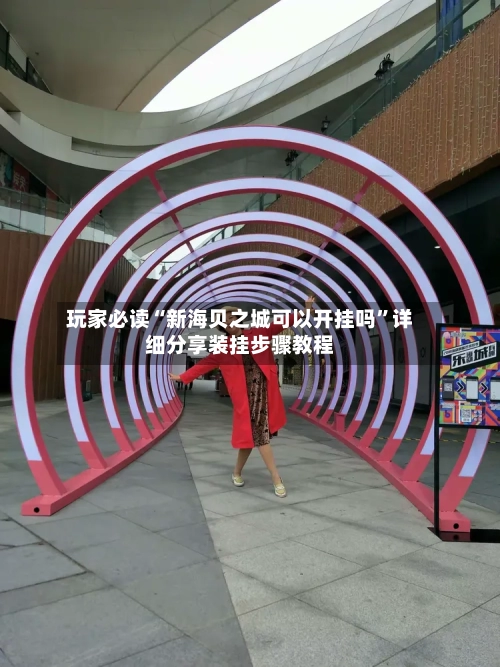 玩家必读“新海贝之城可以开挂吗	”详细分享装挂步骤教程-第2张图片