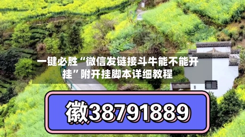 一键必胜“微信发链接斗牛能不能开挂”附开挂脚本详细教程-第2张图片