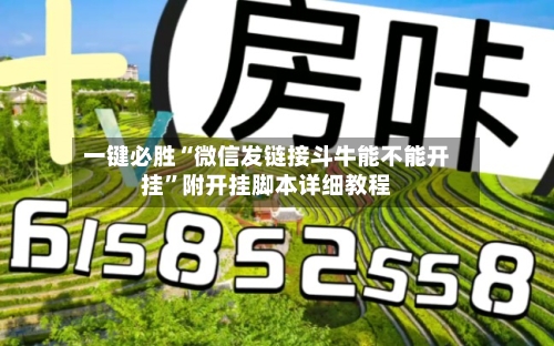 一键必胜“微信发链接斗牛能不能开挂	”附开挂脚本详细教程-第1张图片