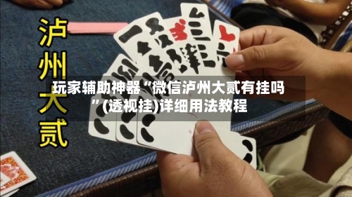 玩家辅助神器“微信泸州大贰有挂吗”(透视挂)详细用法教程-第2张图片