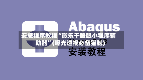 安装程序教程“微乐干瞪眼小程序辅助器”(曝光透视必备猫腻)-第2张图片