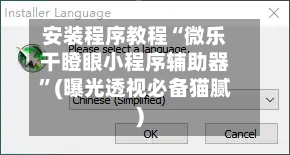安装程序教程“微乐干瞪眼小程序辅助器”(曝光透视必备猫腻)-第3张图片