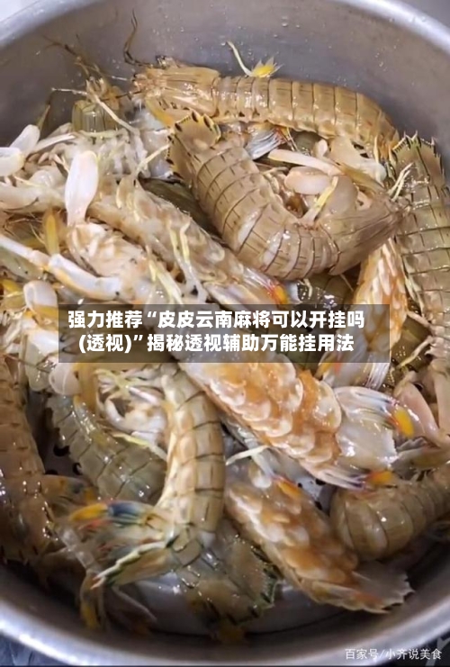 强力推荐“皮皮云南麻将可以开挂吗(透视)”揭秘透视辅助万能挂用法-第3张图片