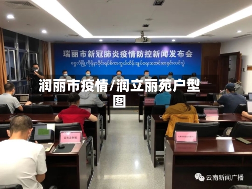 润丽市疫情/润立丽苑户型图-第1张图片