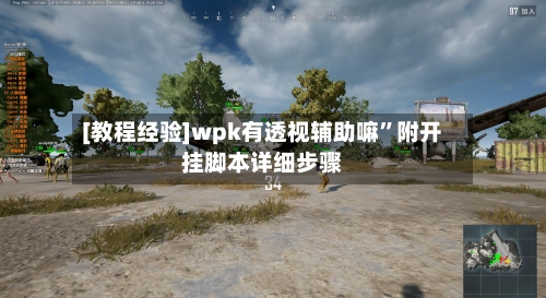 [教程经验]wpk有透视辅助嘛	”附开挂脚本详细步骤-第1张图片