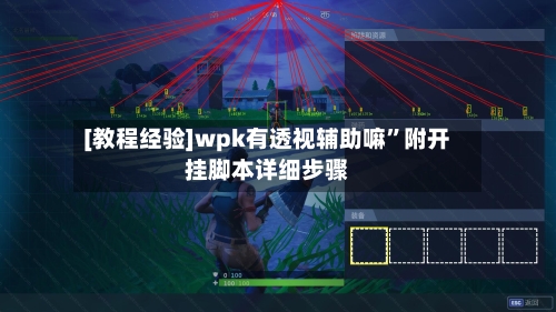 [教程经验]wpk有透视辅助嘛”附开挂脚本详细步骤-第3张图片