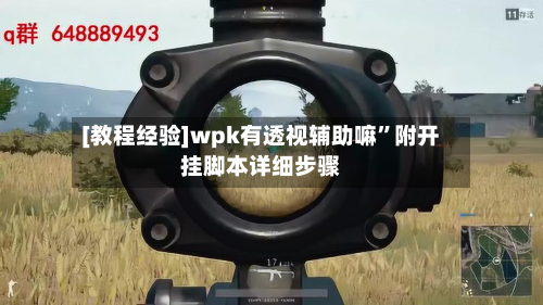 [教程经验]wpk有透视辅助嘛”附开挂脚本详细步骤-第2张图片