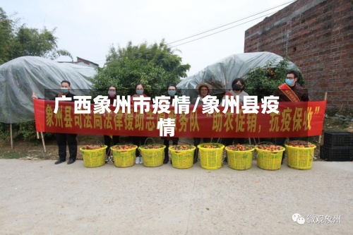广西象州市疫情/象州县疫情-第2张图片