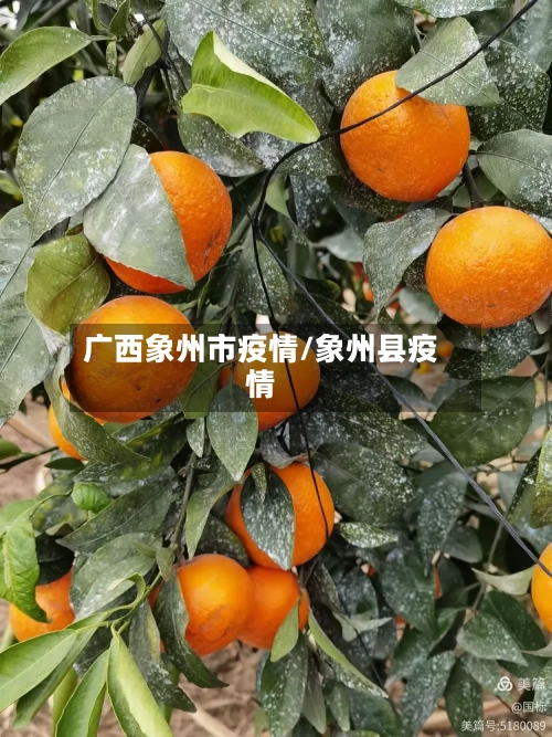 广西象州市疫情/象州县疫情-第1张图片