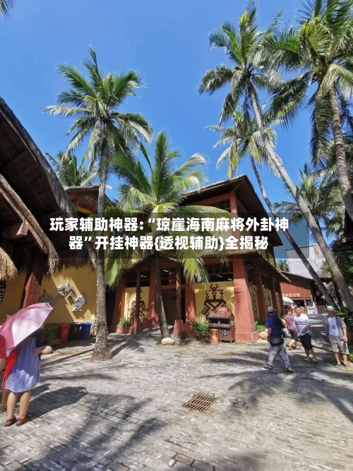 玩家辅助神器:“琼崖海南麻将外卦神器”开挂神器{透视辅助}全揭秘-第2张图片
