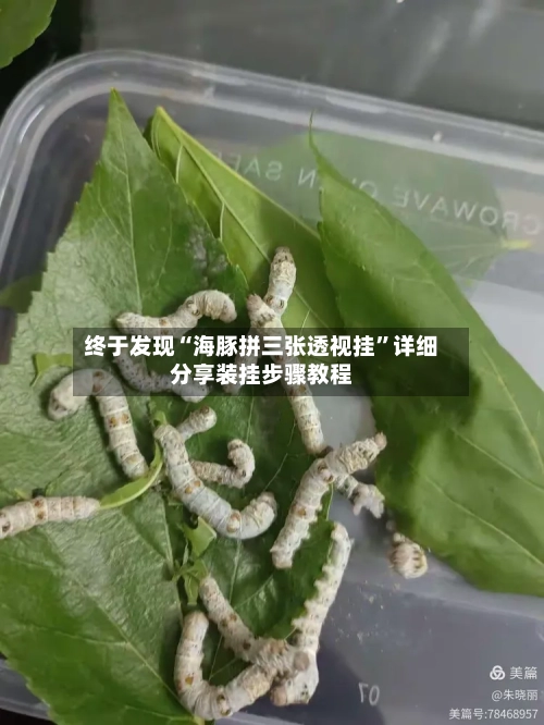 终于发现“海豚拼三张透视挂”详细分享装挂步骤教程-第2张图片