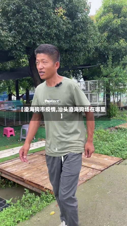 【澄海狗市疫情,汕头澄海狗场在哪里】-第3张图片