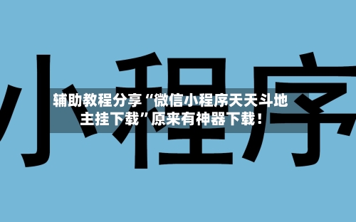 辅助教程分享“微信小程序天天斗地主挂下载”原来有神器下载！-第2张图片