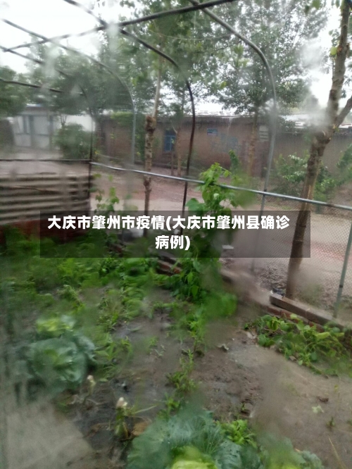 大庆市肇州市疫情(大庆市肇州县确诊病例)-第3张图片