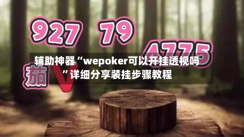 辅助神器“wepoker可以开挂透视吗	”详细分享装挂步骤教程-第1张图片