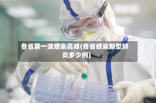 各省第一波感染高峰(各省感染新型肺炎多少例)-第3张图片