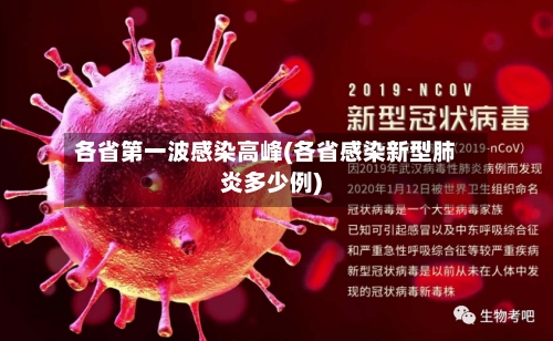 各省第一波感染高峰(各省感染新型肺炎多少例)-第1张图片