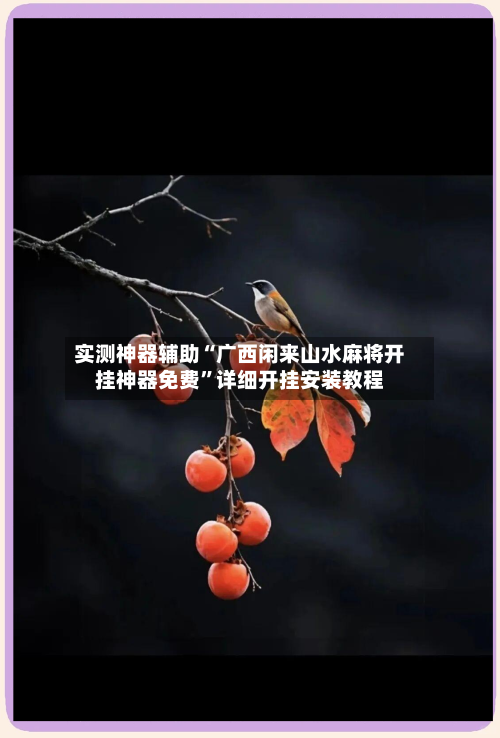 实测神器辅助“广西闲来山水麻将开挂神器免费	”详细开挂安装教程-第2张图片
