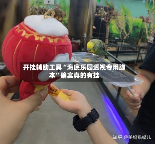 开挂辅助工具“海底乐园透视专用脚本”确实真的有挂-第1张图片