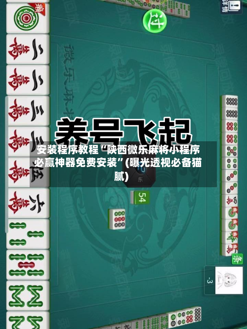 安装程序教程“陕西微乐麻将小程序必赢神器免费安装”(曝光透视必备猫腻)-第3张图片