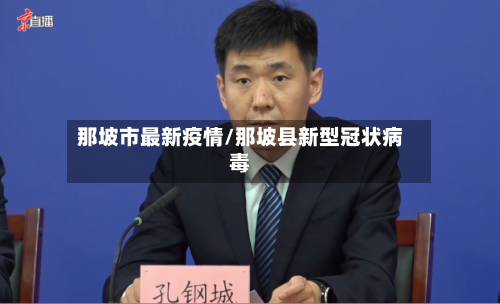 那坡市最新疫情/那坡县新型冠状病毒-第2张图片