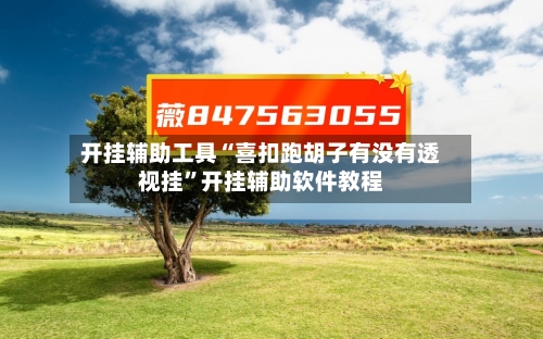 开挂辅助工具“喜扣跑胡子有没有透视挂”开挂辅助软件教程-第2张图片