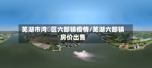 芜湖市湾沚区六郎镇疫情/芜湖六郎镇房价出售-第3张图片