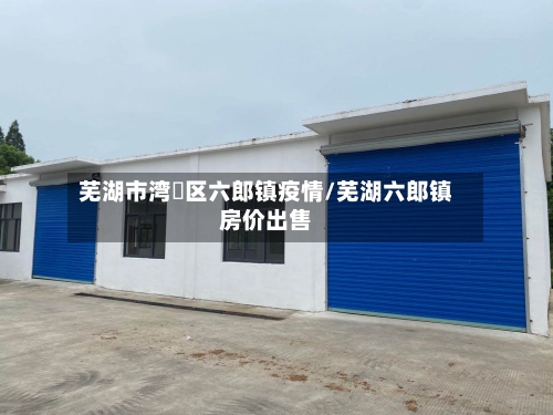 芜湖市湾沚区六郎镇疫情/芜湖六郎镇房价出售-第2张图片