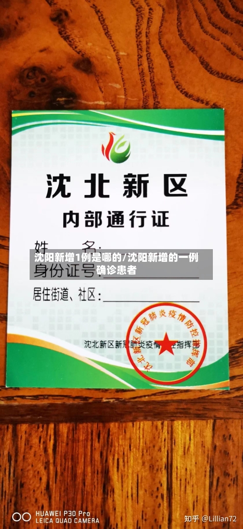 沈阳新增1例是哪的/沈阳新增的一例确诊患者-第1张图片